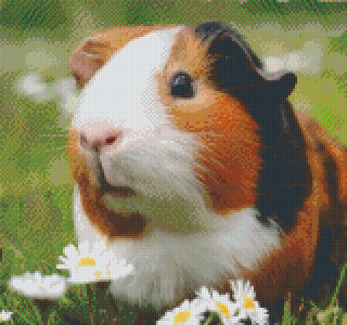 Pixelhobby Klassik Set - Meerschweinchen