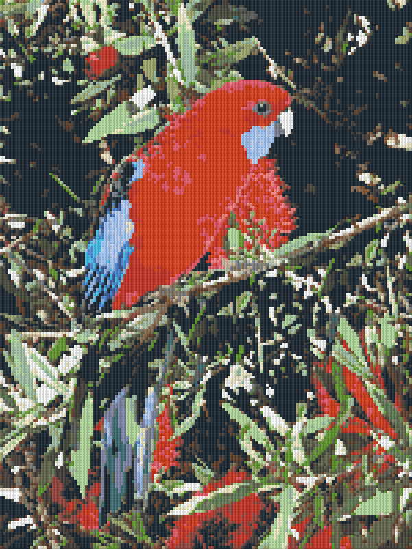 Pixelhobby Klassik Set - Crimson Rosella