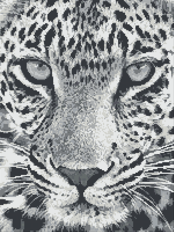 Pixelhobby Klassik Set - Leopard schwarz-weiß