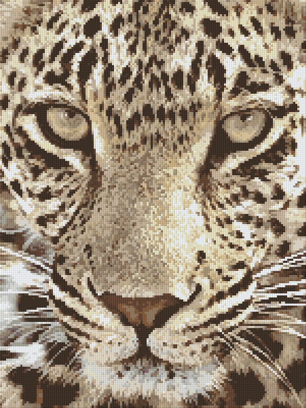 Pixelhobby Klassik Set - Leopard