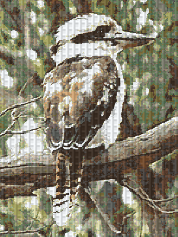 Pixelhobby Klassik Set - Kookaburra