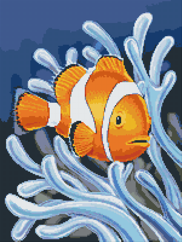 Pixelhobby Klassik Set - Clownfisch