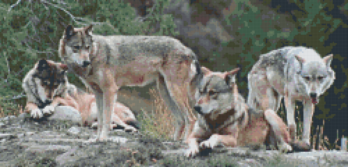 Pixelhobby Klassik Vorlage - Rudel Wölfe