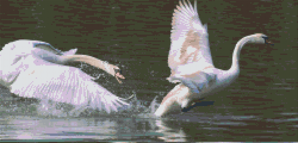 Pixelhobby Klassik Vorlage - Schwanen Kampf