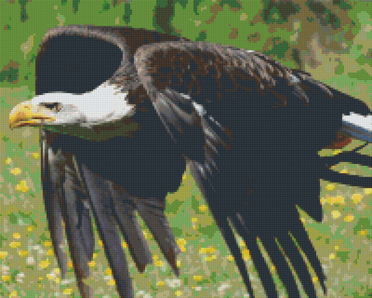 Pixel hobby classic template - eagle in flight