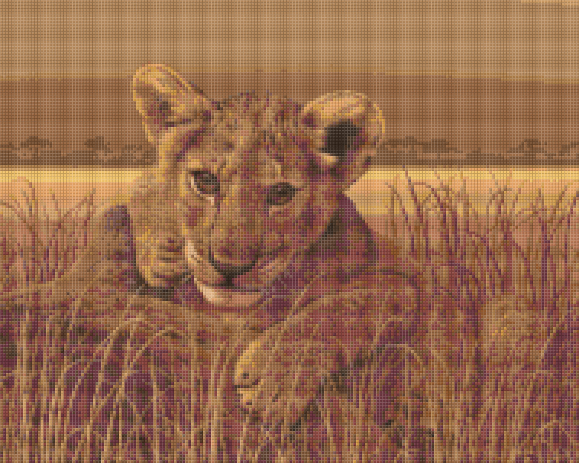 Pixel hobby classic set - baby lion