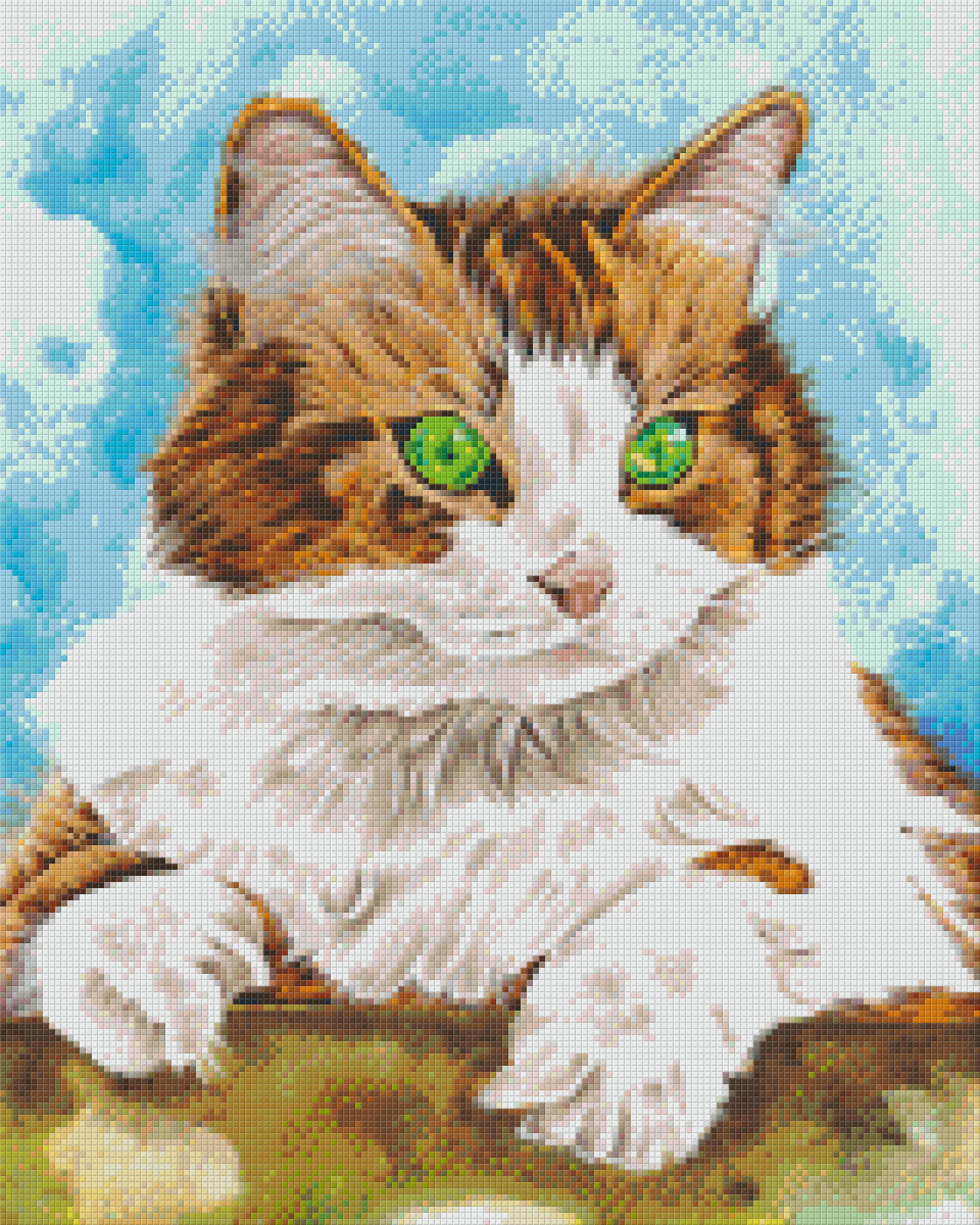 Pixel hobby classic set - cat