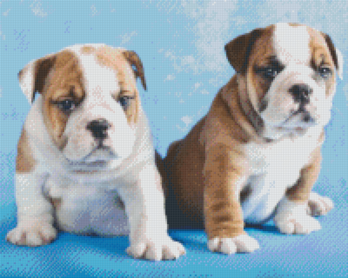 Pixelhobby Classic Set - English Bulldog Puppies
