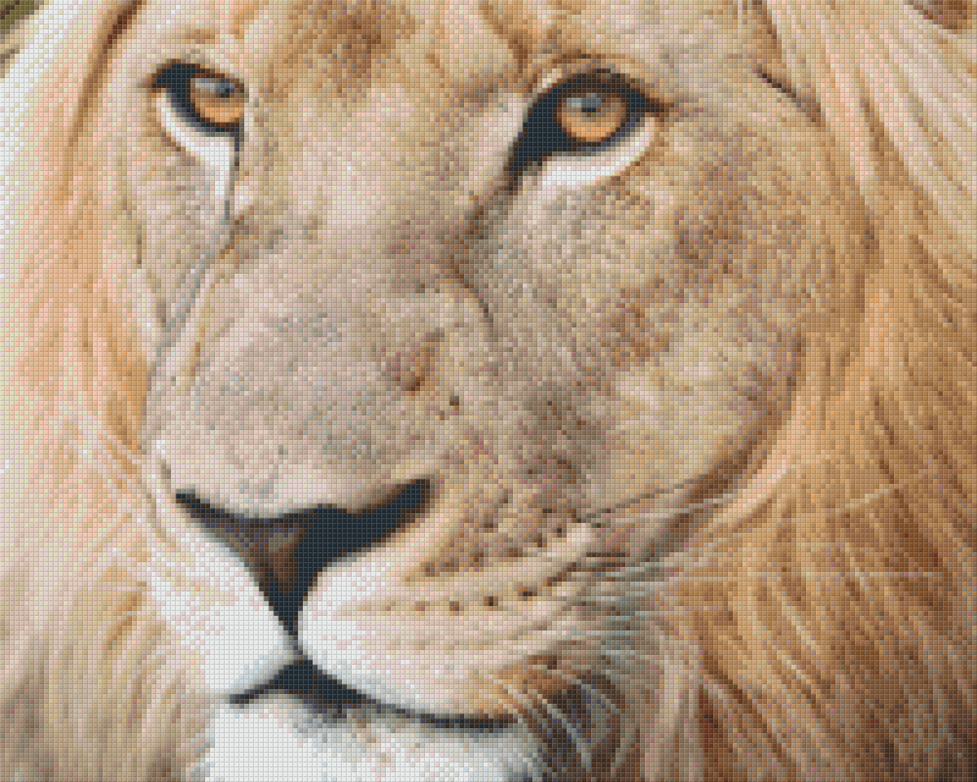 Pixel hobby classic set - lion