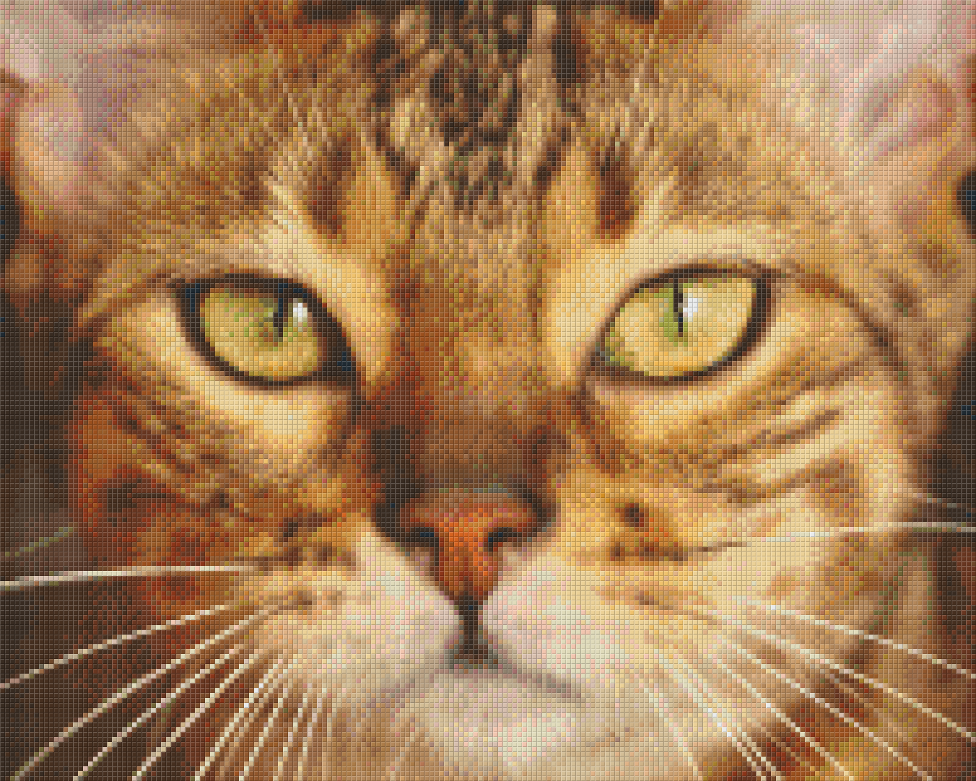 Pixel hobby classic set - cat
