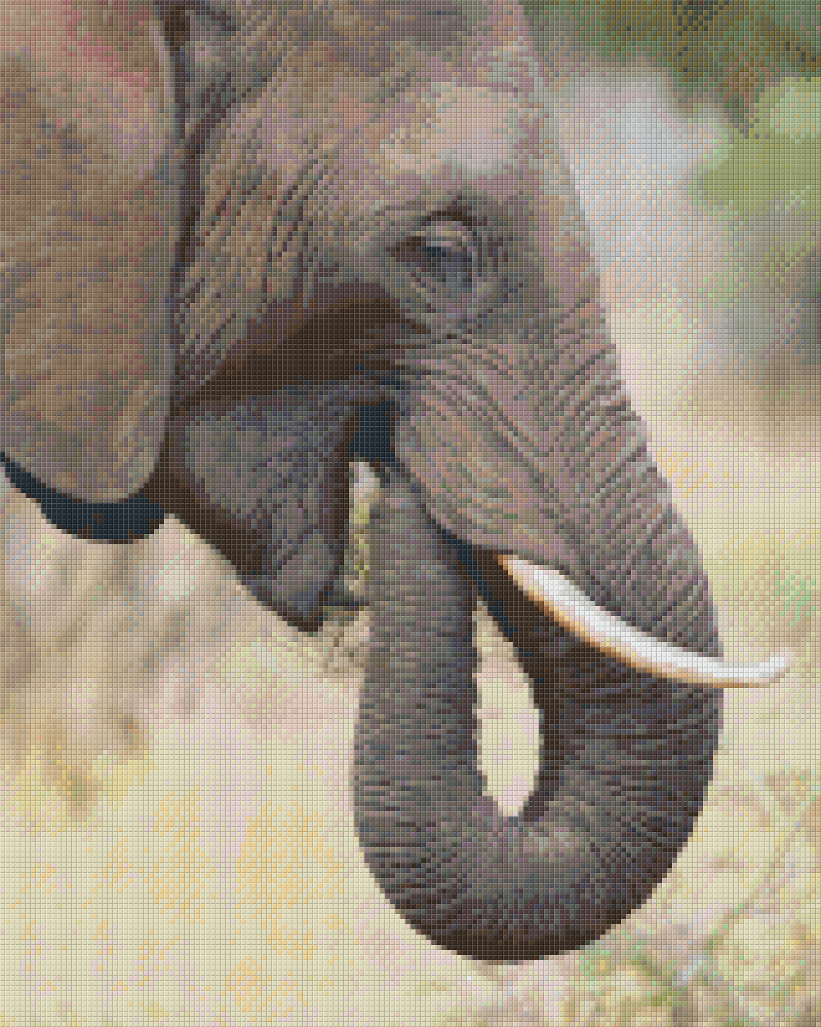 Pixel hobby classic set - elephant
