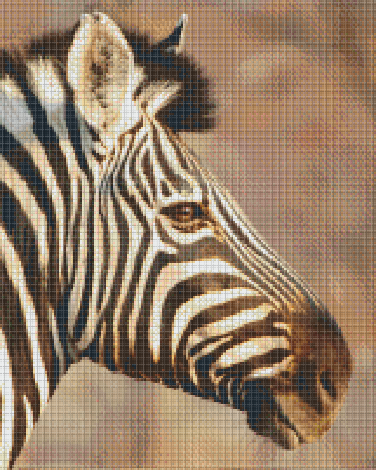 Pixel Hobby Classic Set - Zebra