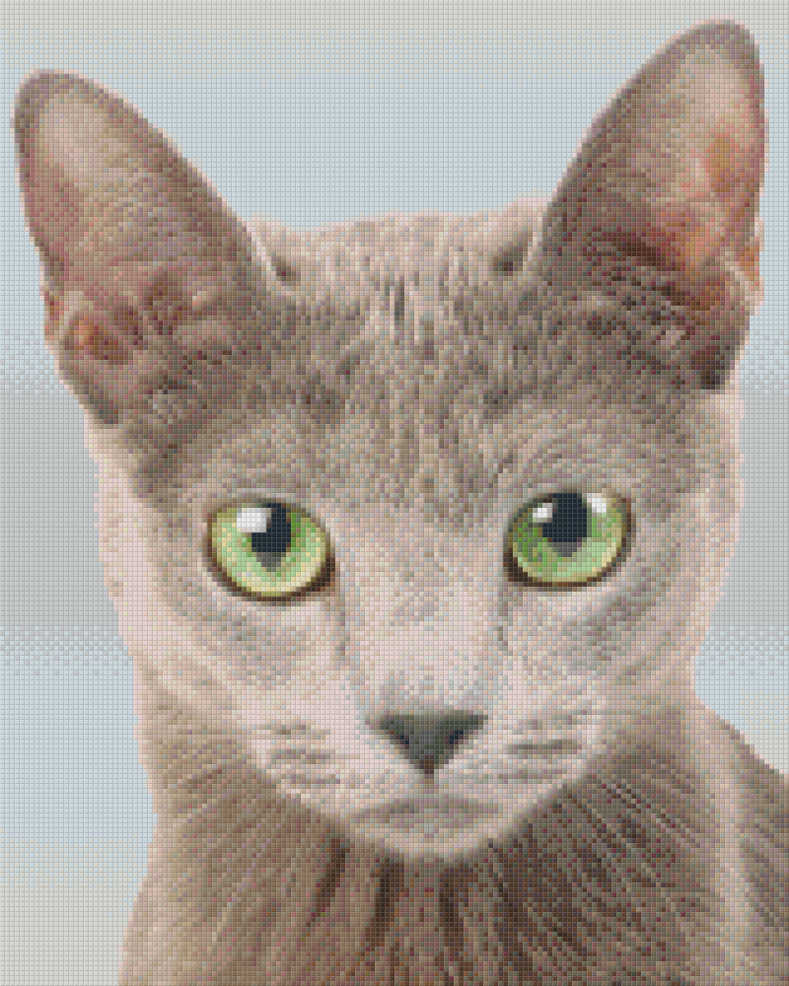 Pixel hobby classic set - cat