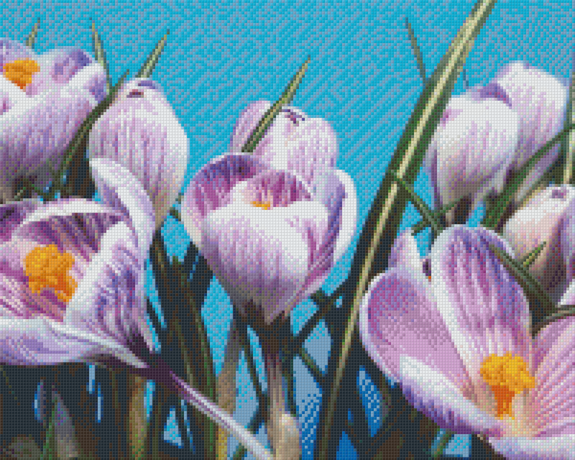 Pixelhobby classic set - crocuses