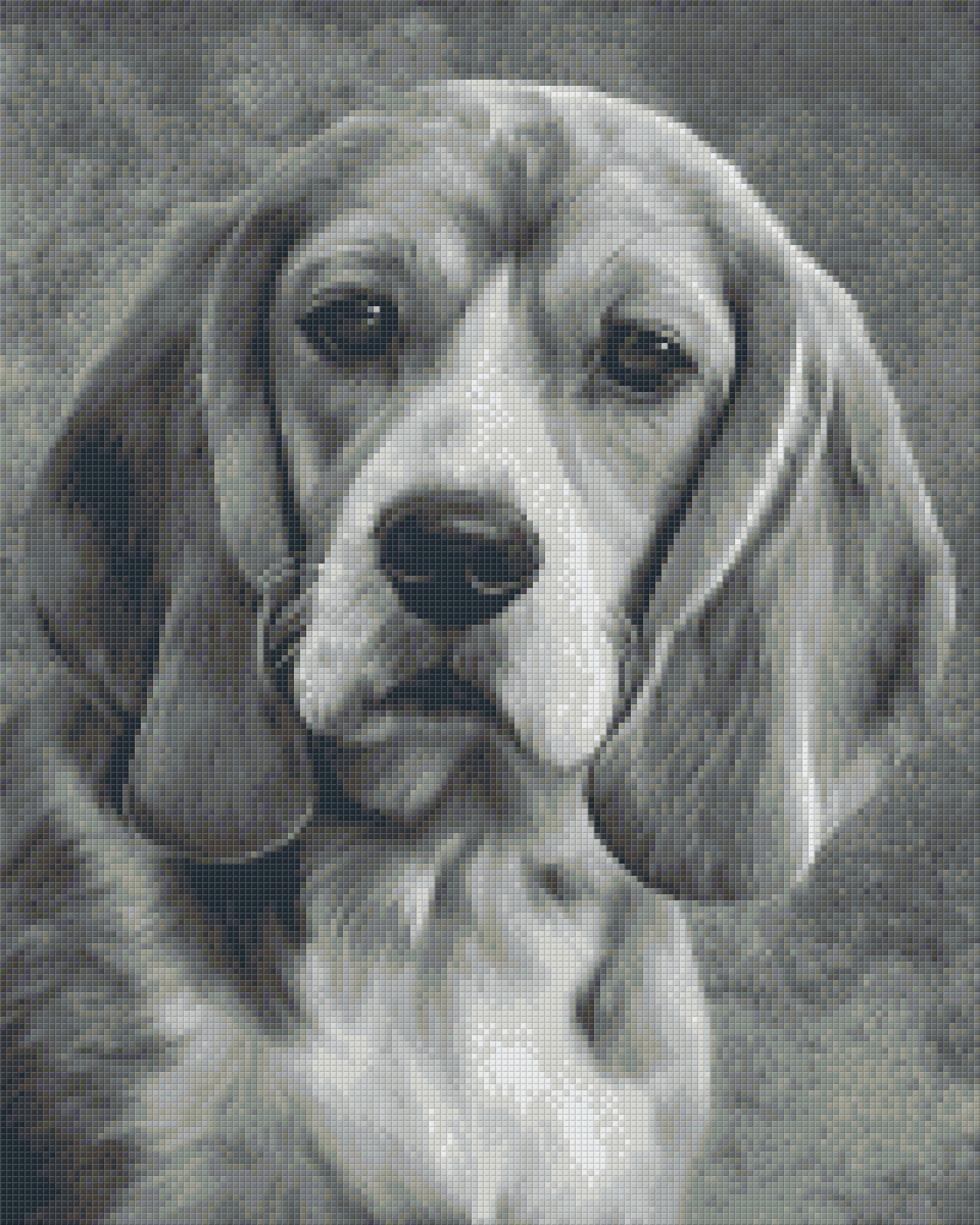 Pixelhobby Classic Set - Beagle b/w
