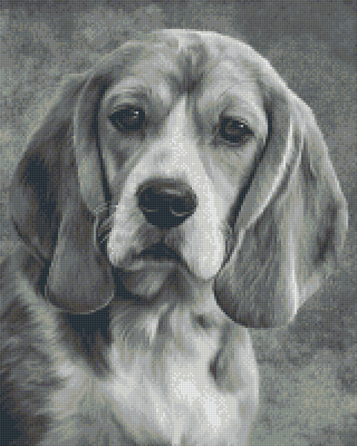 Pixelhobby Klassik Vorlage - Beagle s/w