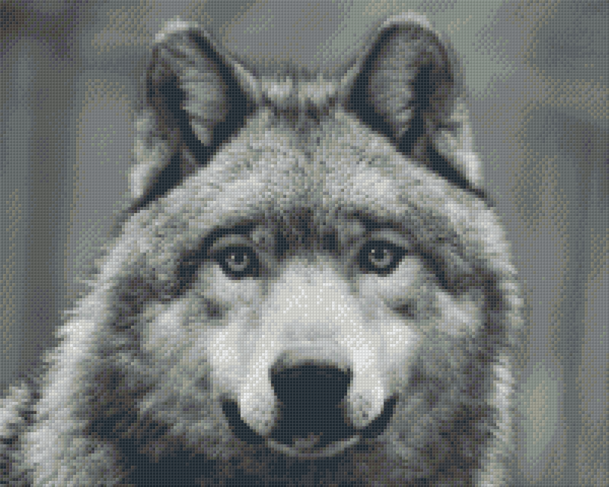 Pixelhobby Klassik Set - Wolf s/w