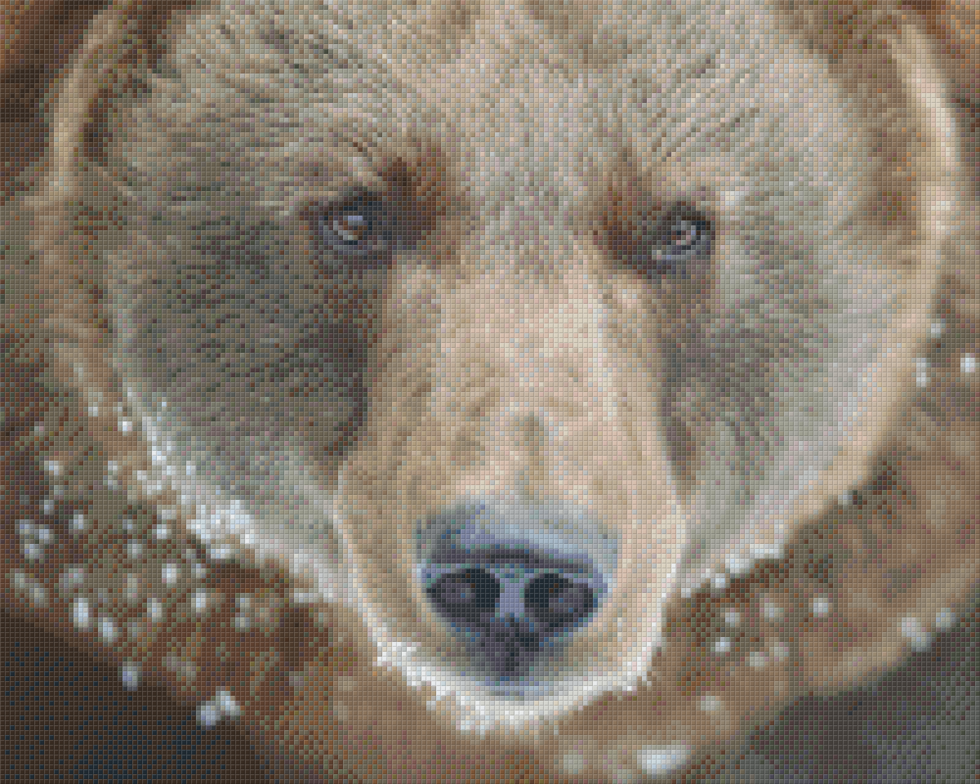 Pixel hobby classic set - brown bear