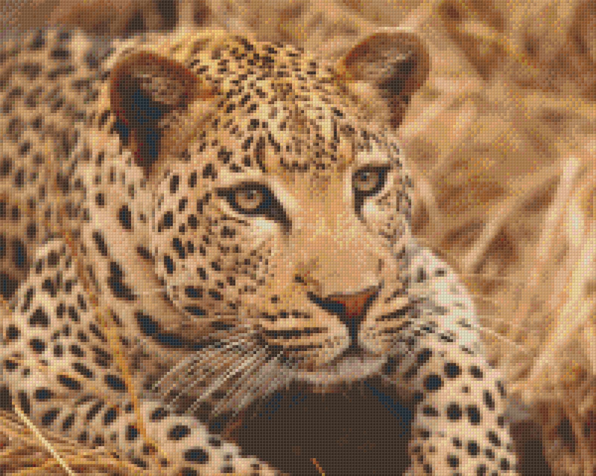 Pixel Hobby Classic Set - Leopard
