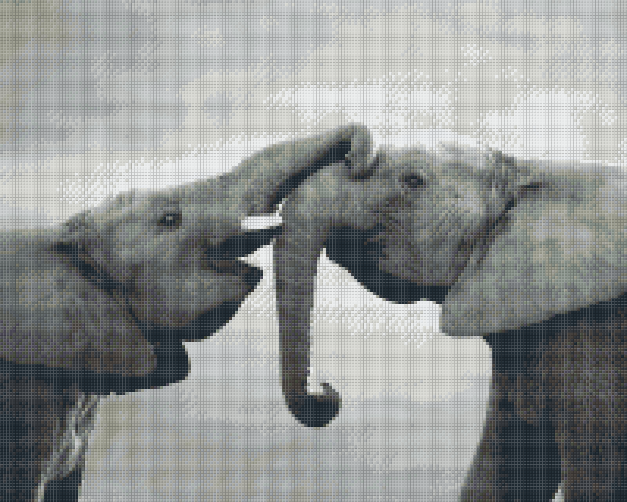 Pixelhobby Classic Set - Elephants b/w