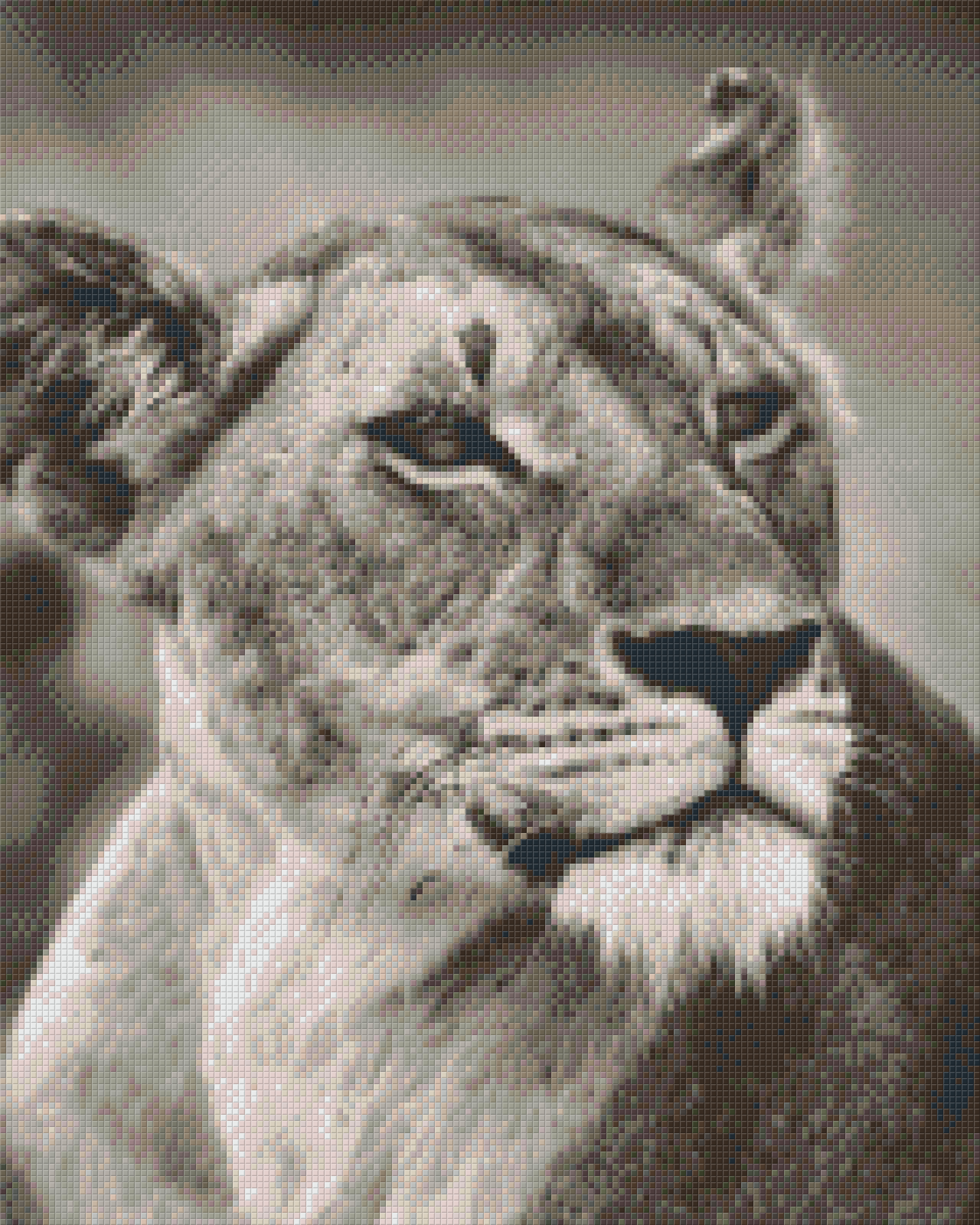 Pixelhobby Classic Set - Lioness b/w