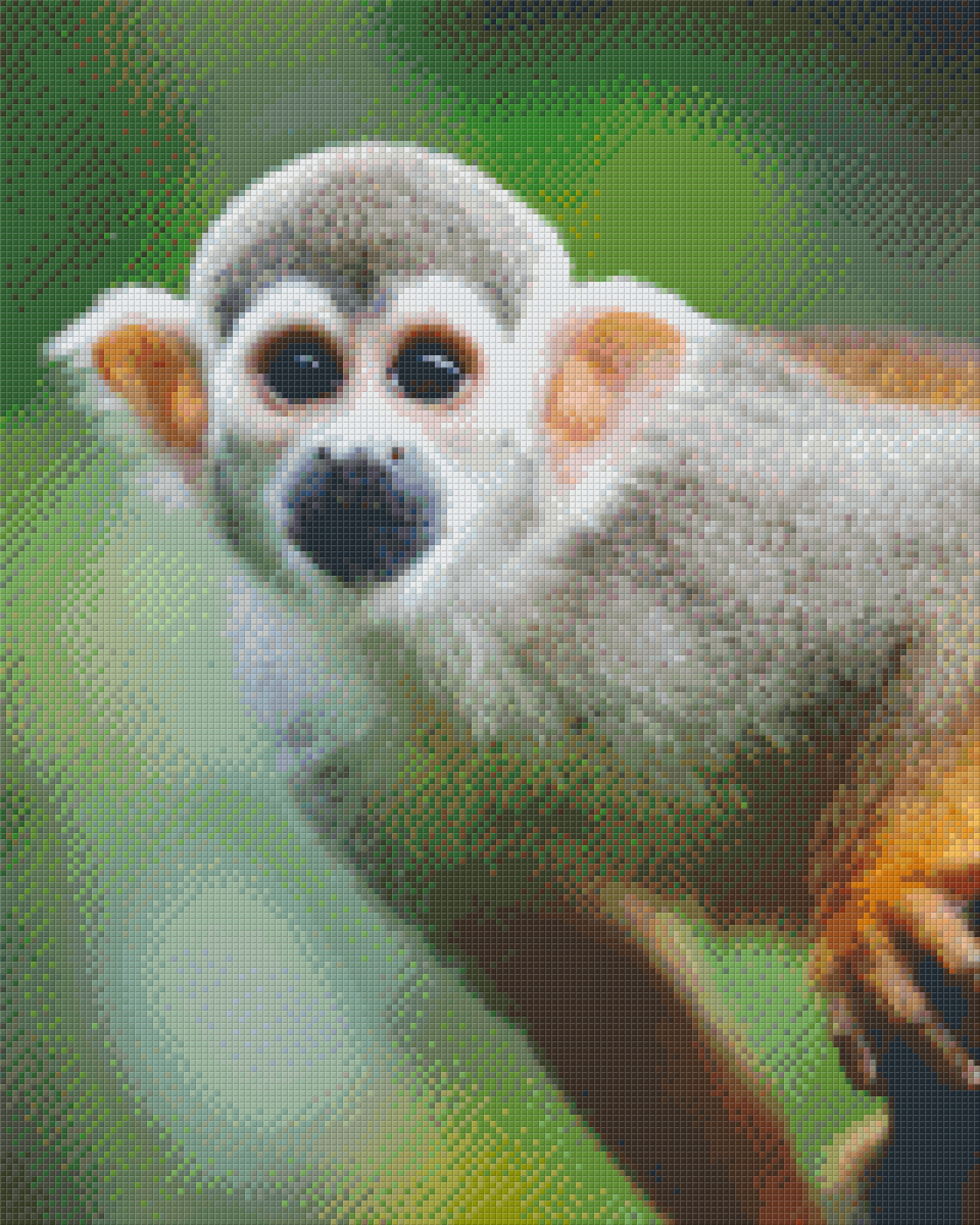 Pixel hobby classic set - monkey
