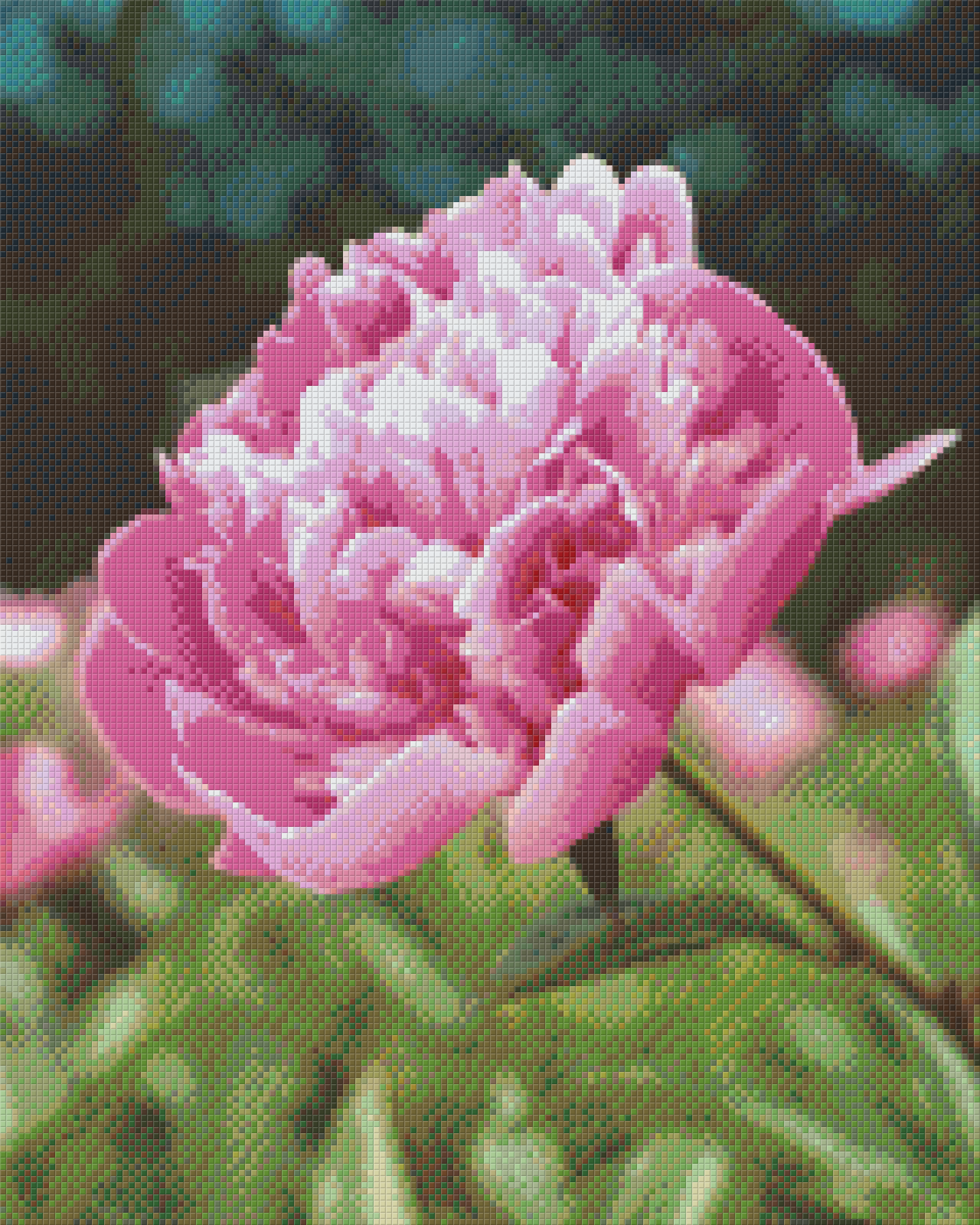 Pixelhobby Classic Set - Peony