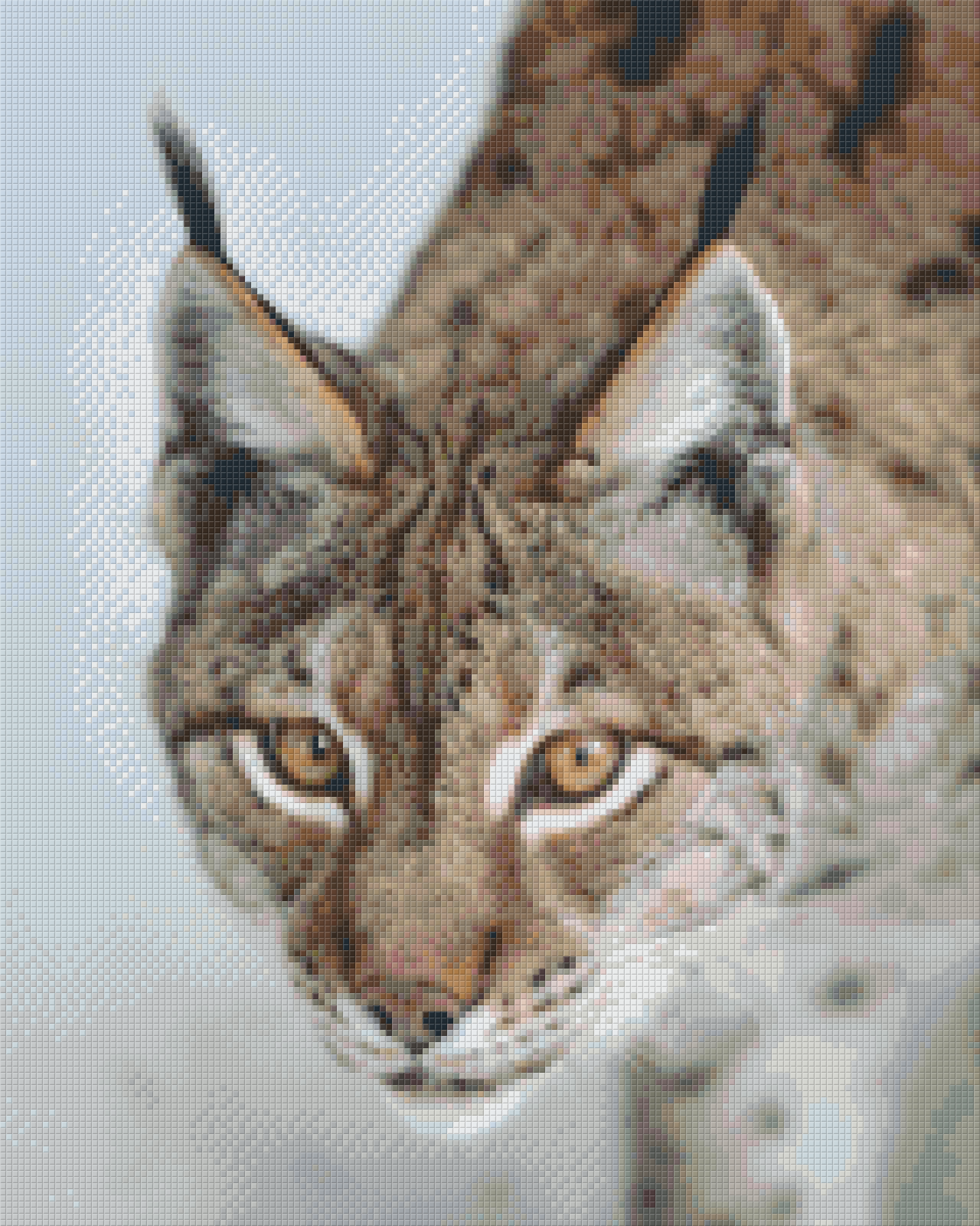 Pixel hobby classic set - lynx