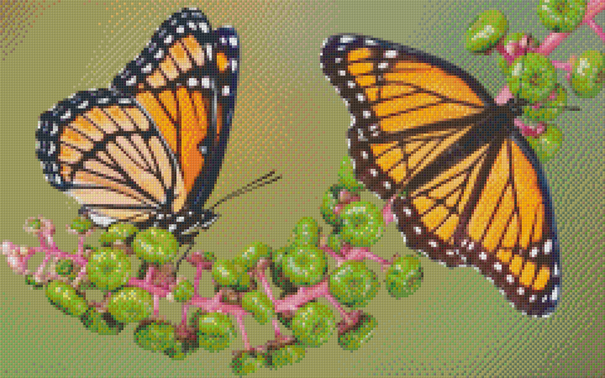 Pixelhobby Klassik Vorlage - Schmetterling