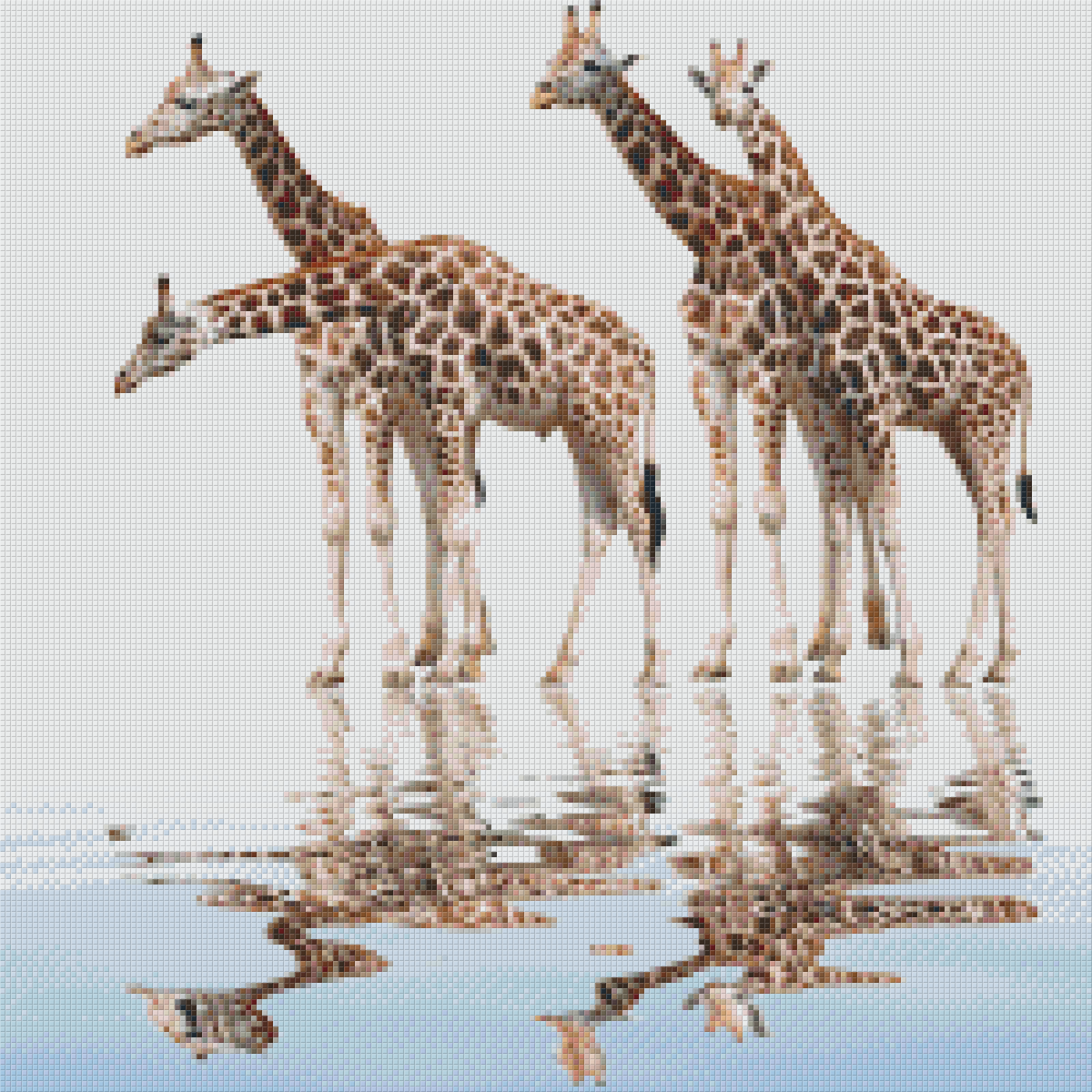 Pixelhobby Classic Template - Giraffes