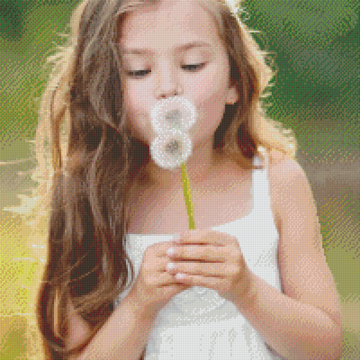 Pixelhobby Classic Template - Dandelion