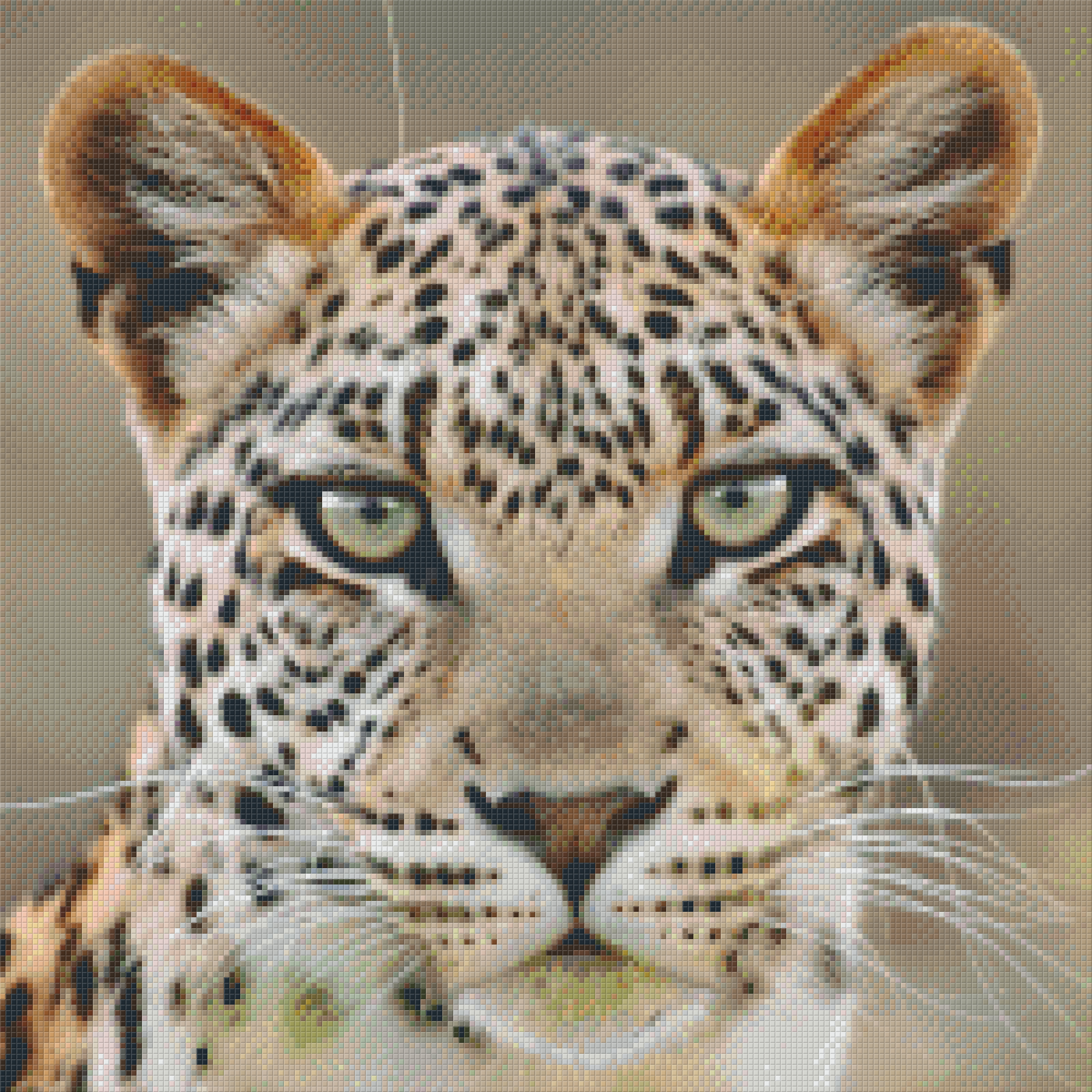 Pixelhobby Klassik Set - Leopard
