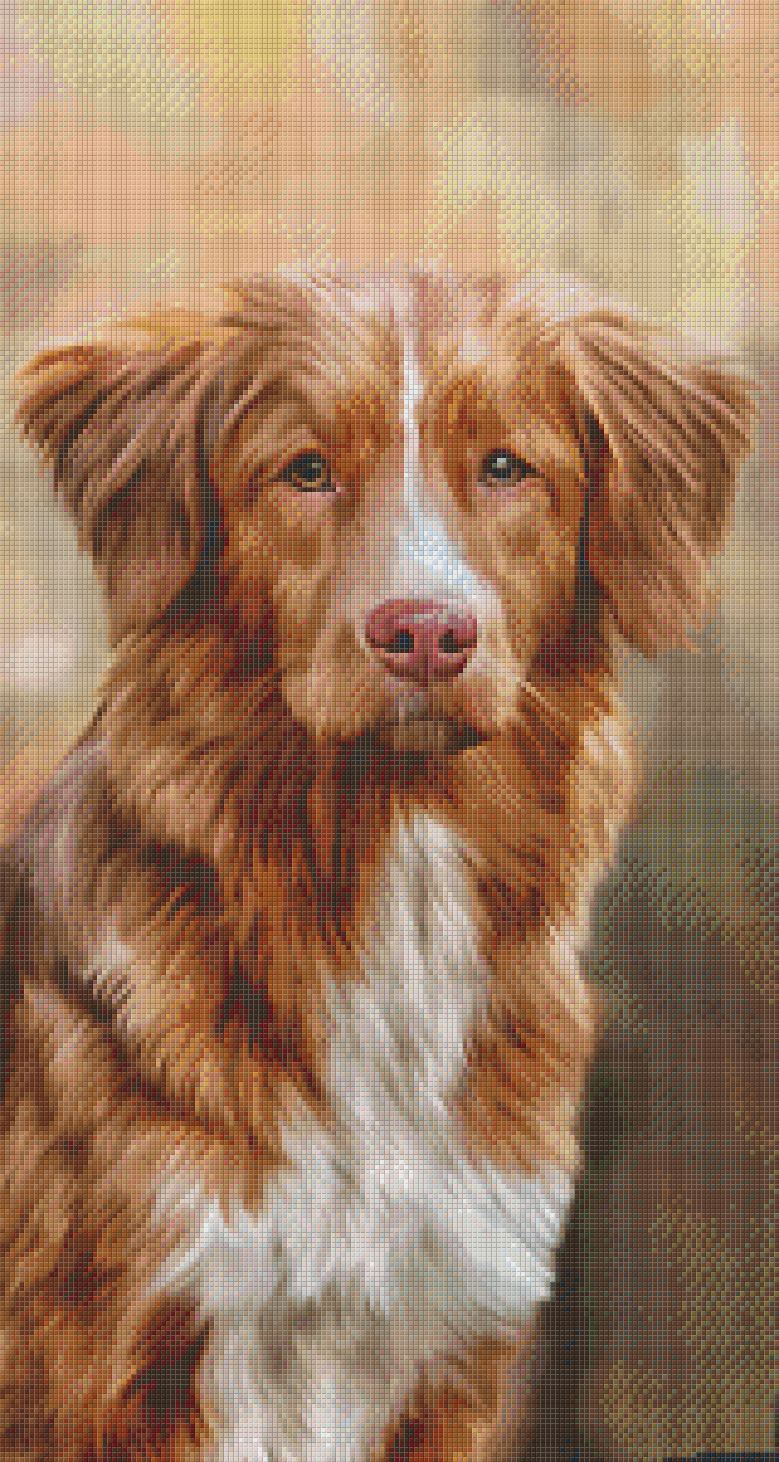 Pixelhobby Klassik Set - Border Collie
