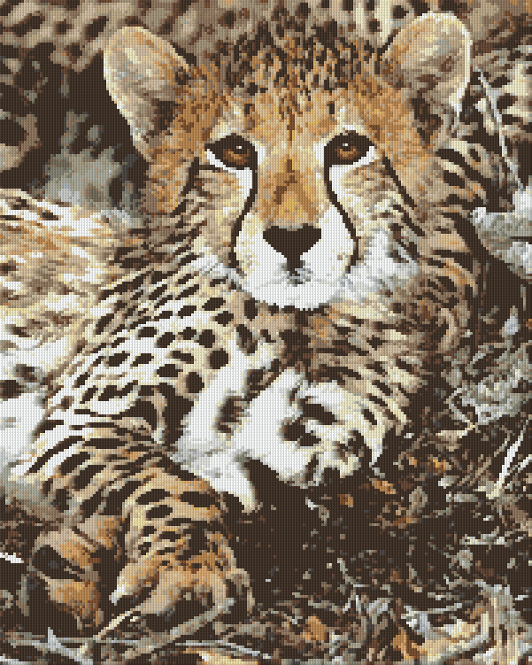 Pixelhobby Klassik Set - Baby Gepard
