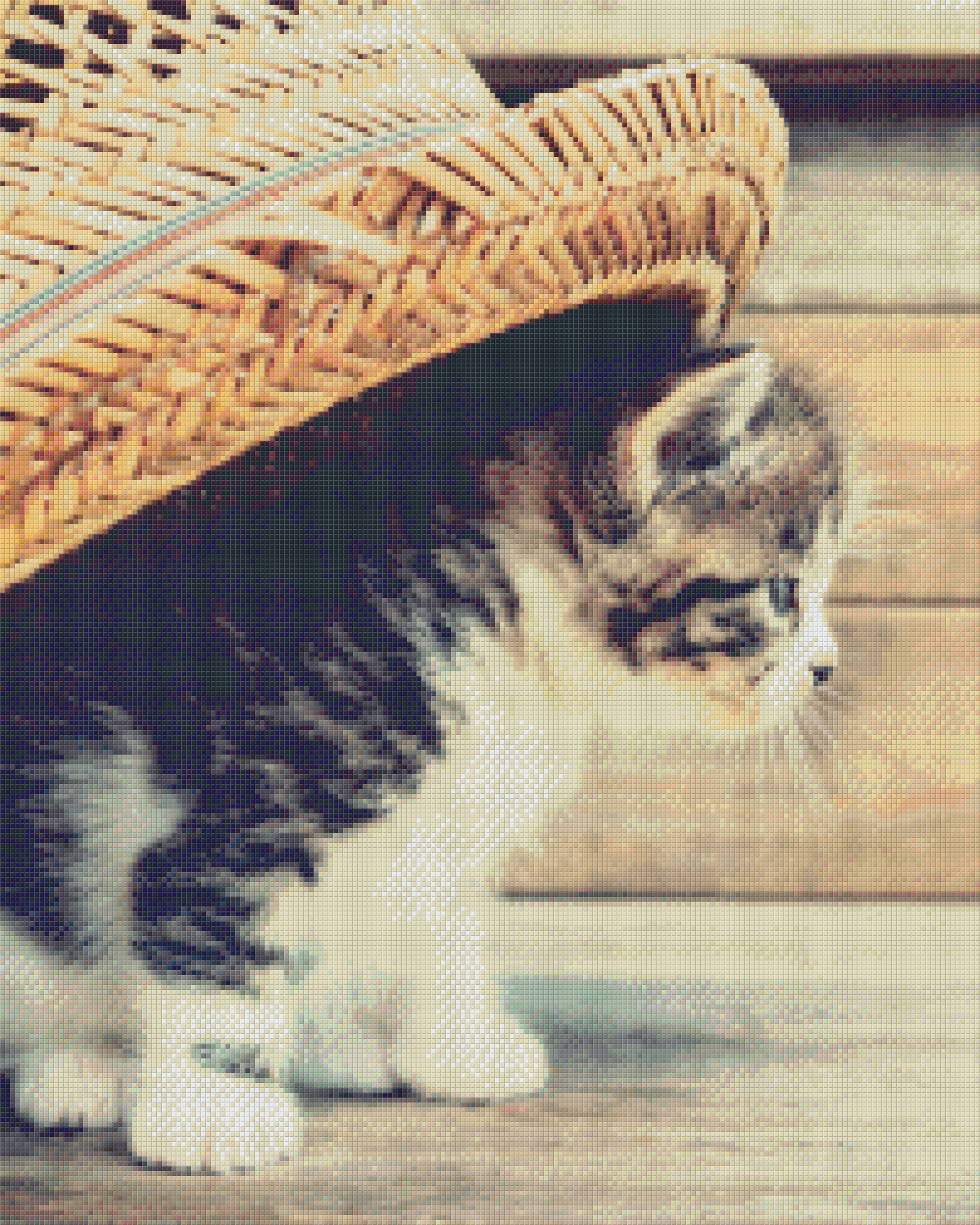 Pixelhobby Klassik Set - Katze mit Hut