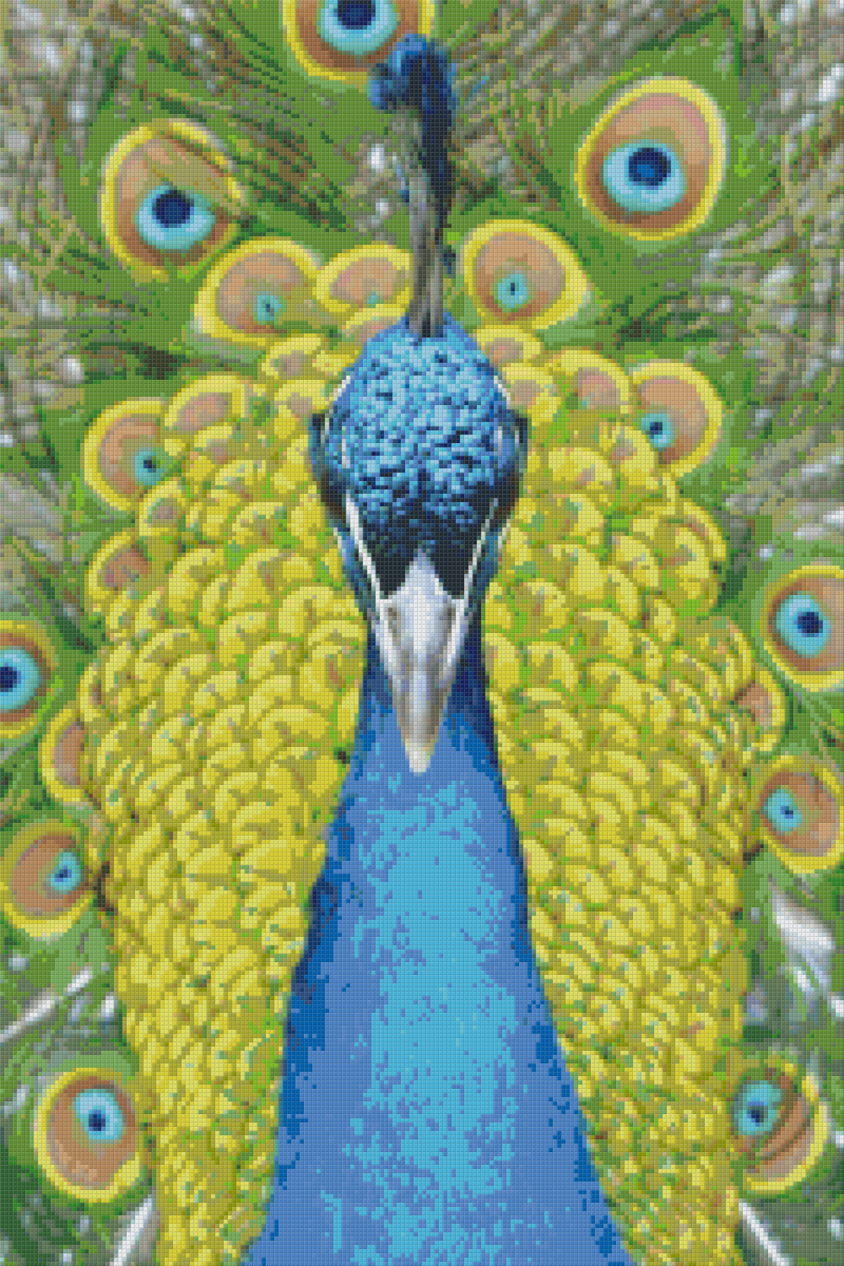 Pixelhobby Klassik Set - Pfau