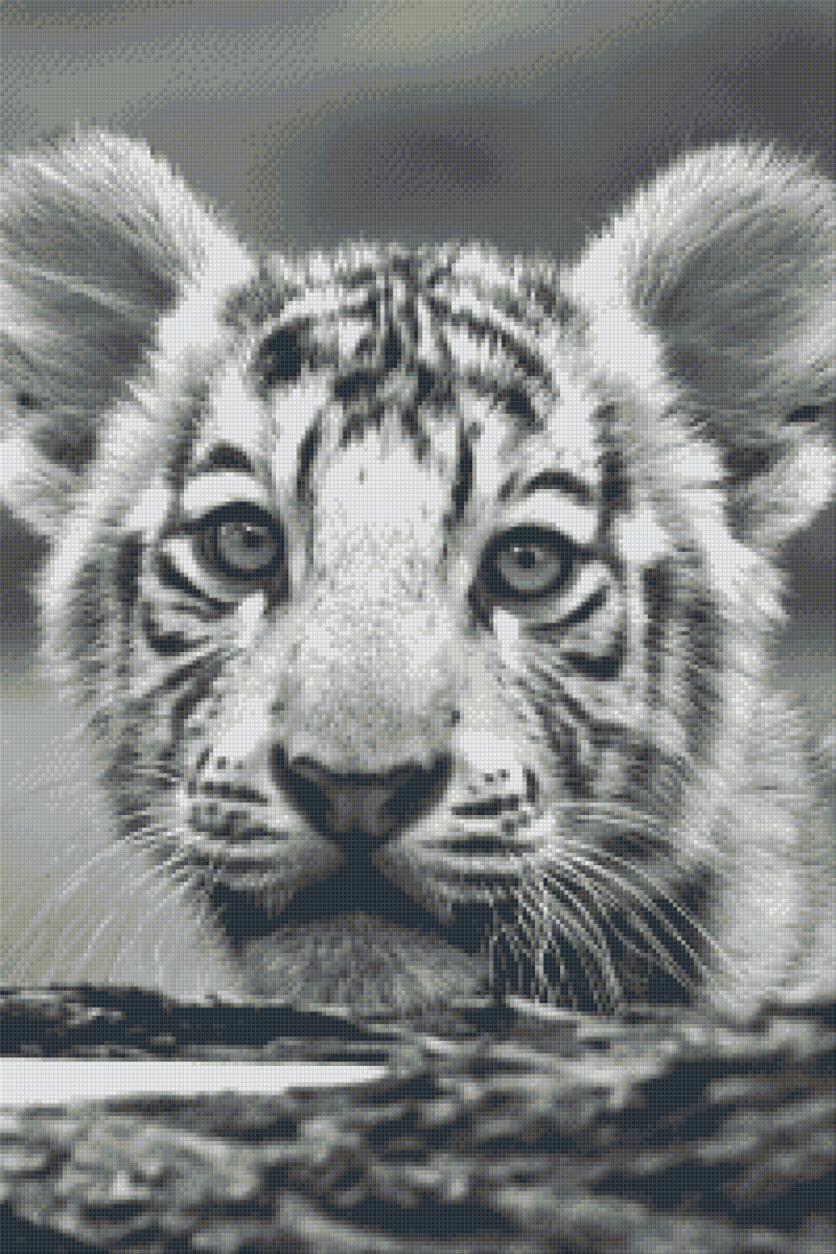 Pixelhobby Klassik Set - Tigerbaby s/w