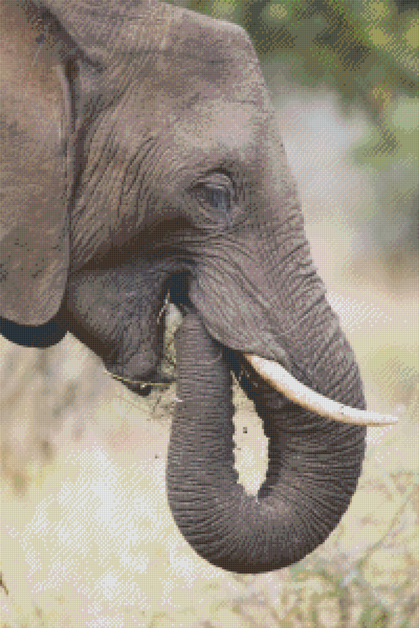 Pixelhobby Klassik Set - Elefant