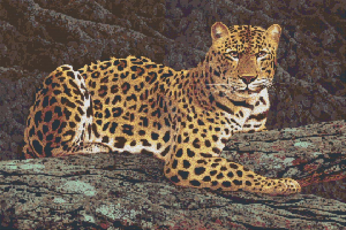Pixelhobby Klassik Vorlage - Leopard