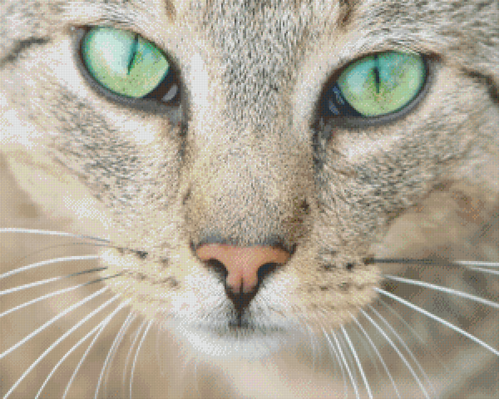 Pixelhobby Klassik Set - Katze