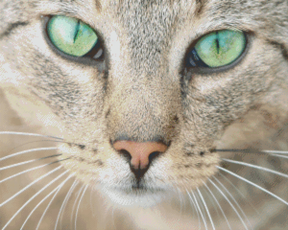 Pixelhobby Klassik Vorlage - Katze
