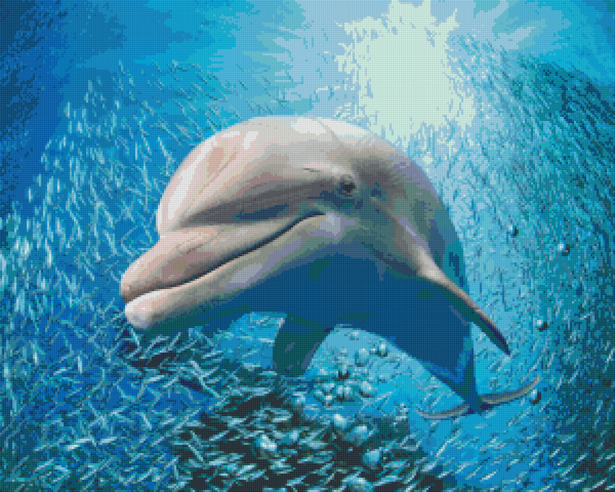 Pixel hobby classic set - dolphin
