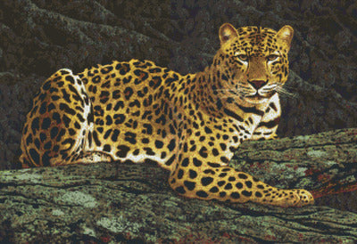 Pixelhobby Klassik Set - Leopard