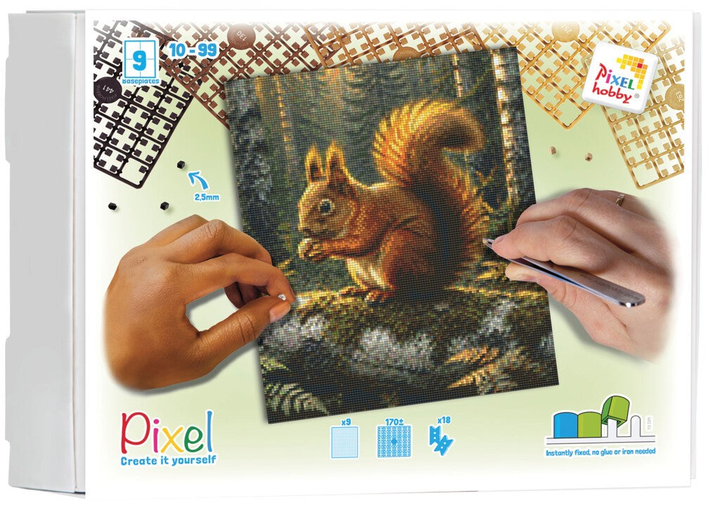 Pixelhobby Set mit 9 Basisplatten - Eichhörnchen