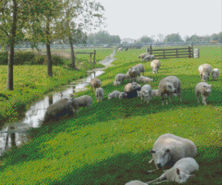 Pixelhobby Klassik Vorlage - Schafe auf der Weide