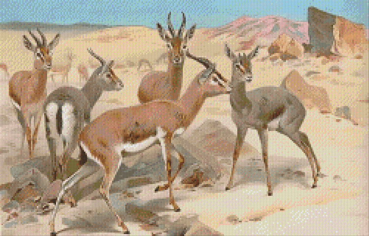Pixelhobby Classic Set - Gazelles