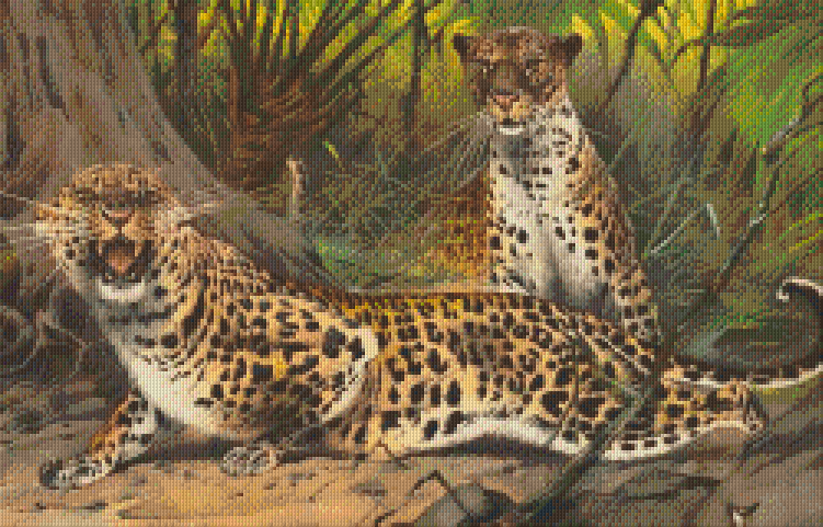 Pixelhobby Klassik Vorlage - Leoparden
