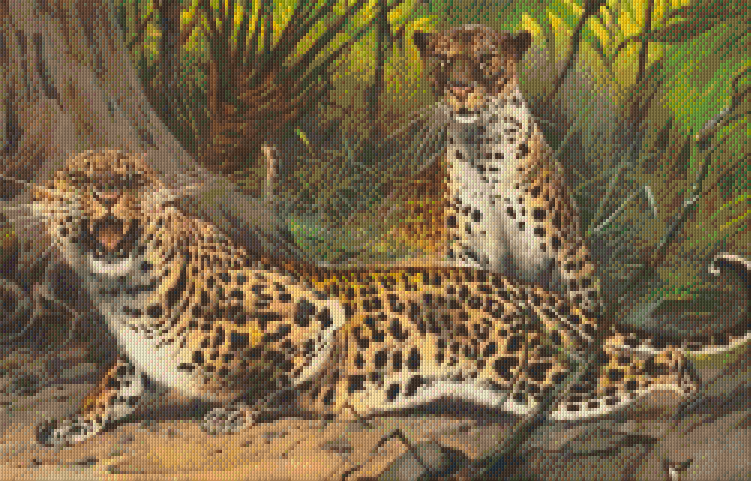 Pixelhobby classic set - leopards