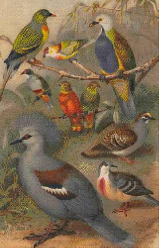 Pixel hobby classic set - birds