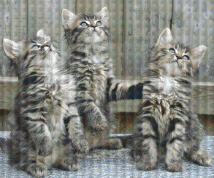 Pixelhobby Klassik Vorlage - Drei kleine Katzen